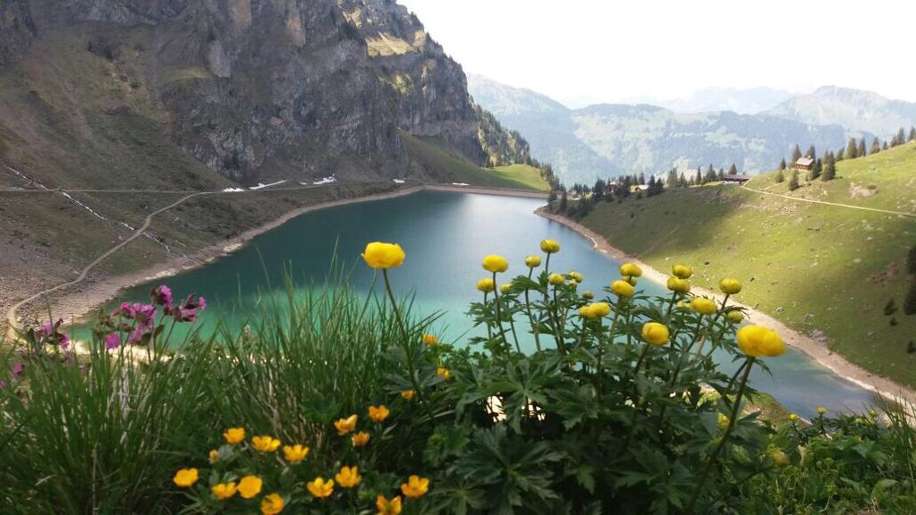 Bannalp See Herbst